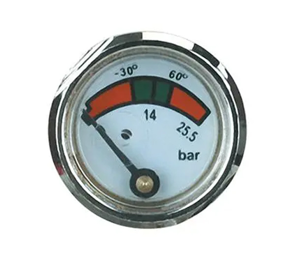 European standard pressure gauge